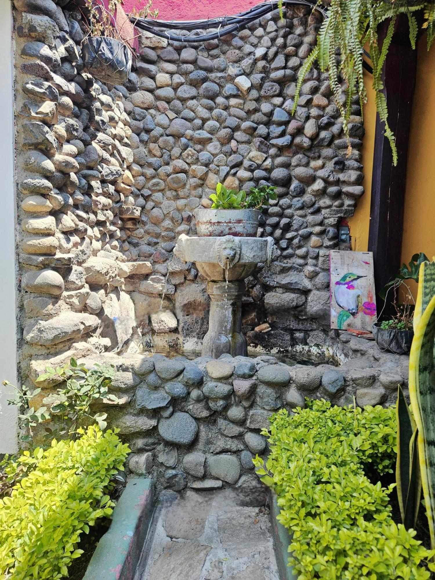 Casa Nikte Hotel アンティグア・グアテマラ エクステリア 写真