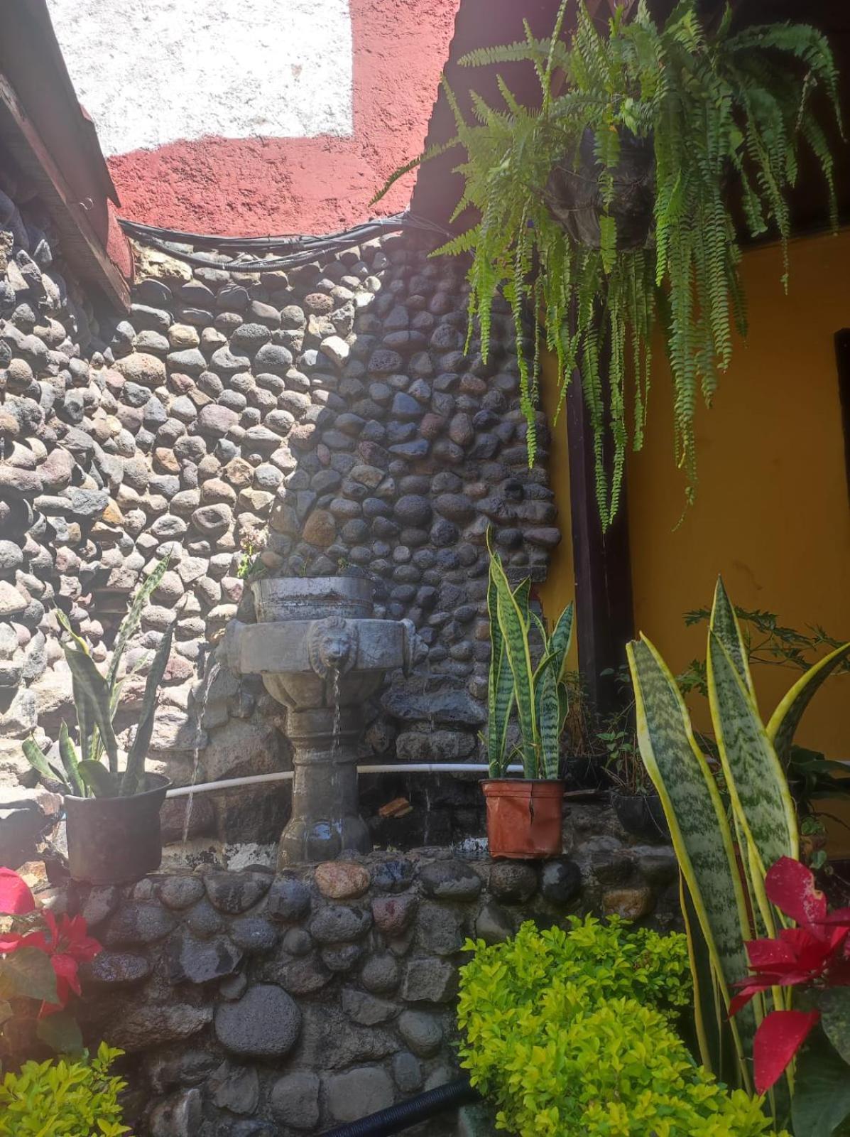 Casa Nikte Hotel アンティグア・グアテマラ エクステリア 写真
